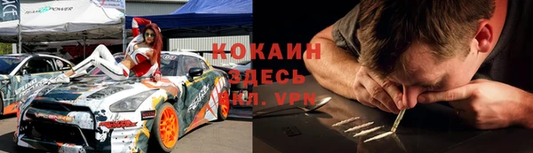 хмурый Абаза