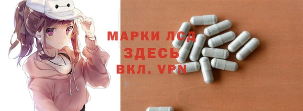 хмурый Абаза