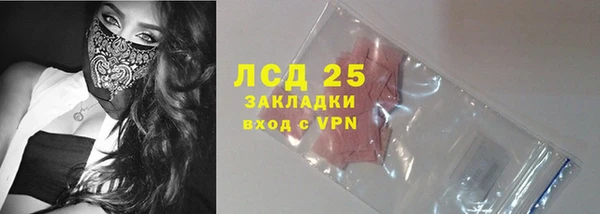 хмурый Абаза