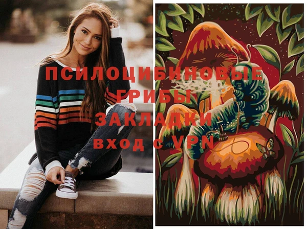 гашик Алзамай