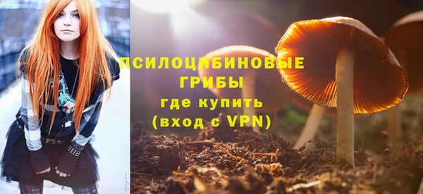 твердый Алексин