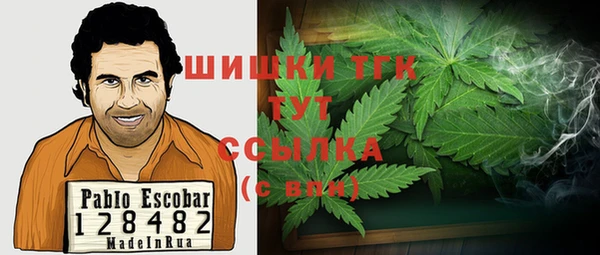ГАЛЛЮЦИНОГЕННЫЕ ГРИБЫ Алексеевка