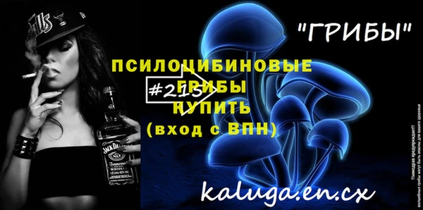 хмурый Абаза
